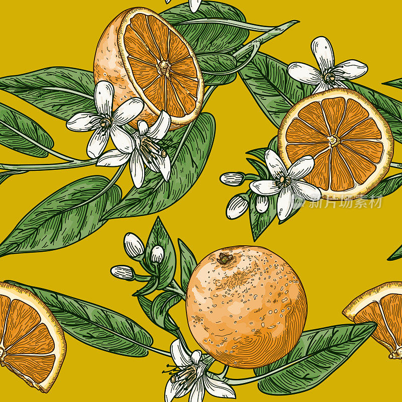 Citrus and Orange Blossom Vintage Retro Style Seamless Pattern